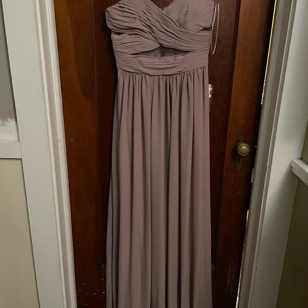 NWT Birdy Grey Strapless Mauve Dress